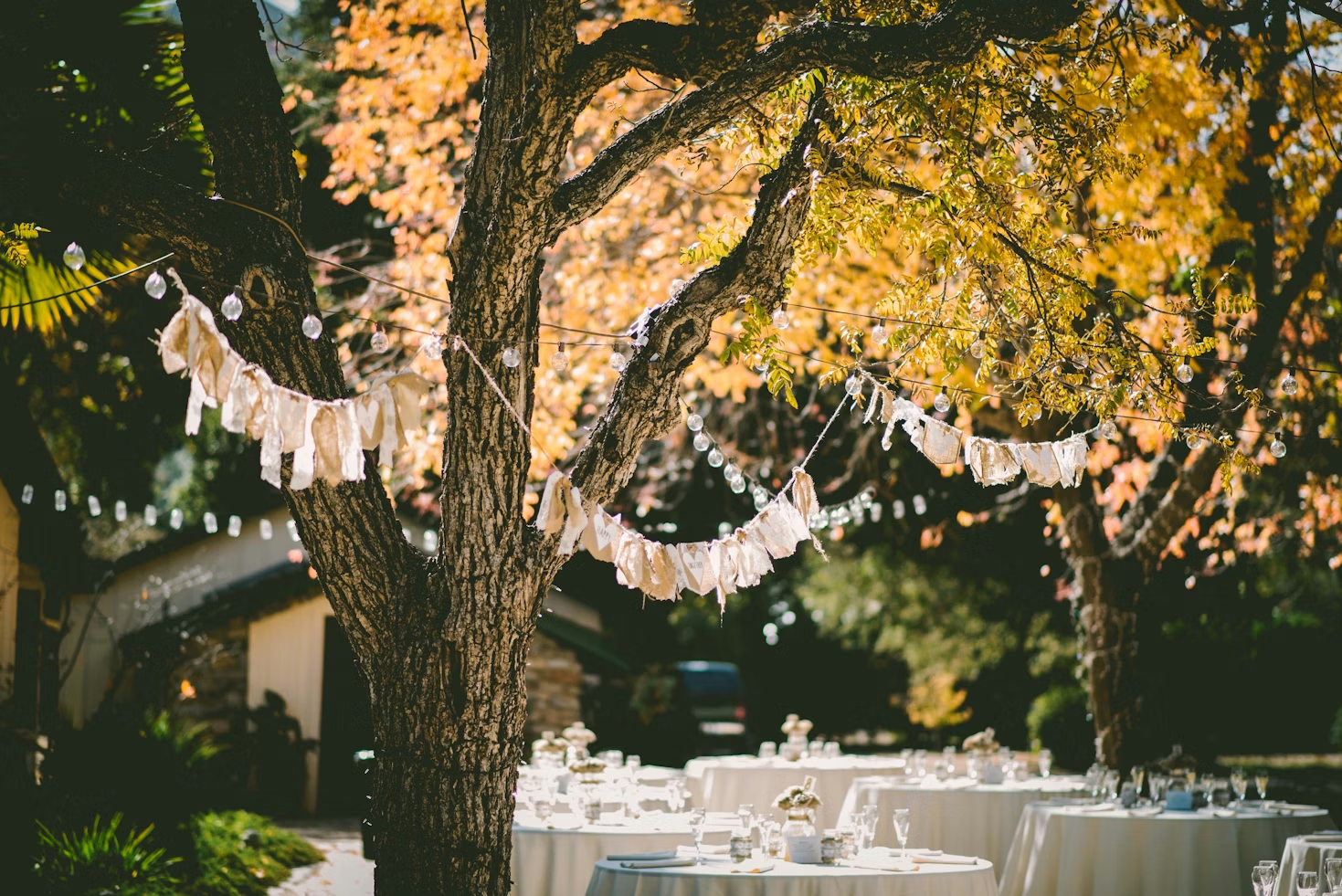 Garden party setup with tables, string lights, and autumn trees.
