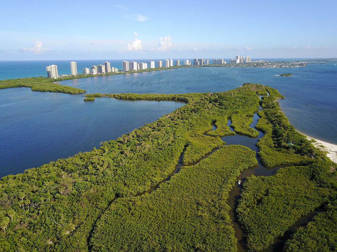 Munyon Island mangroves with waterways and city skyline backdrop.