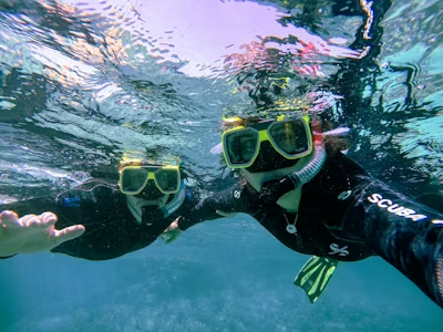 Two snorkelers exploring clear ocean waters in wetsuits.
