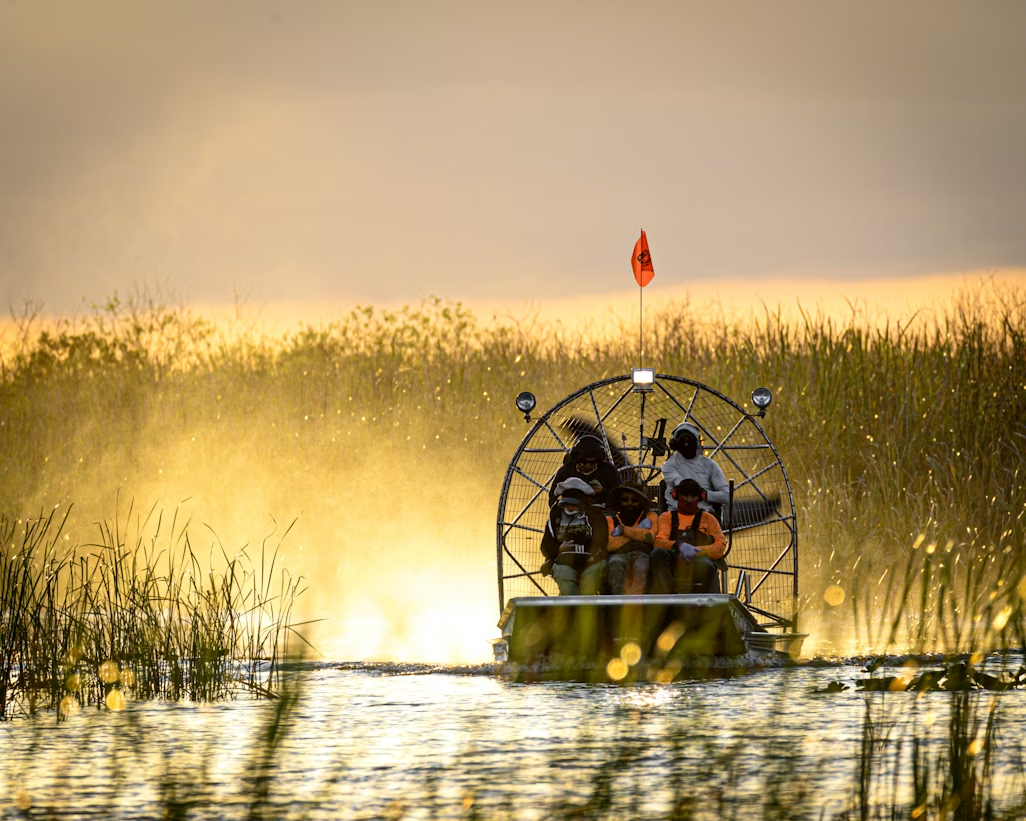 Airboat tour gliding through wetlands at golden sunrise.