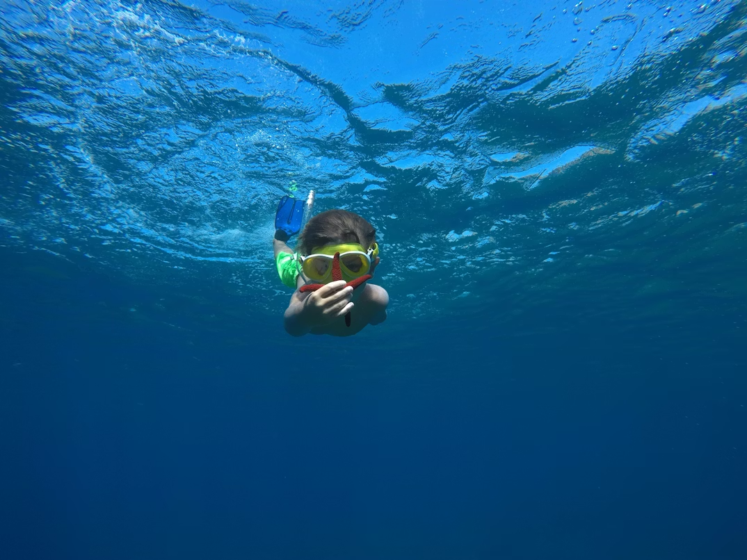 Child snorkeling underwater holding starfish in clear ocean.