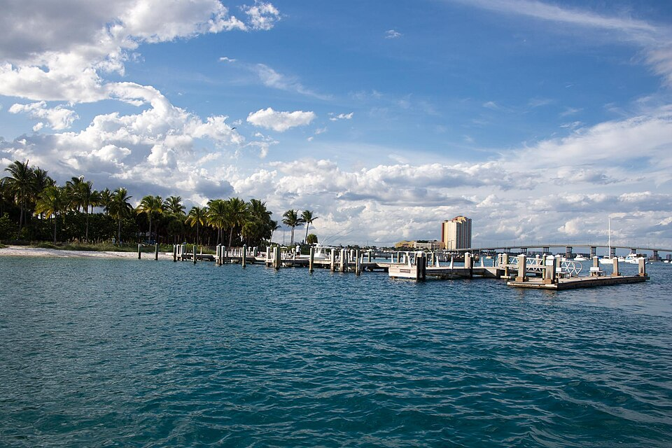 Peanut Island marina with docks, palm trees, and bridge.