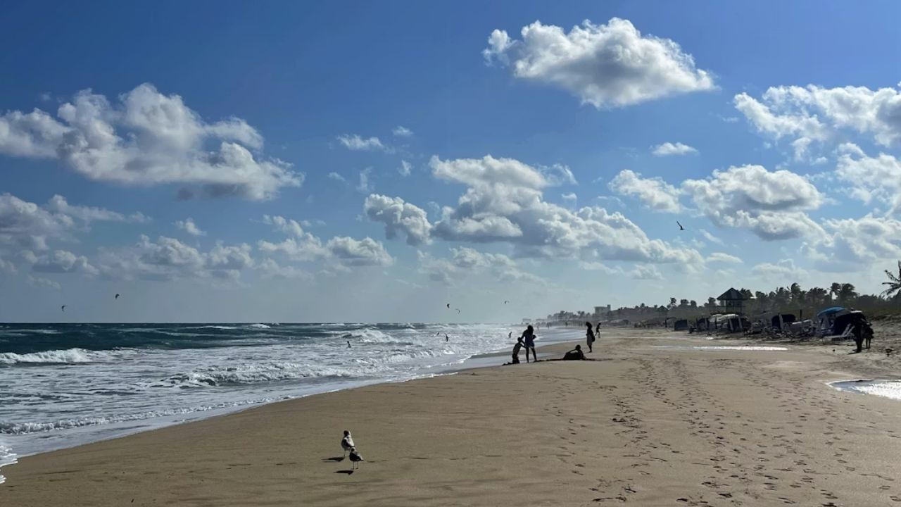  Delray Beach shoreline with waves, seagulls, and umbrellas. 