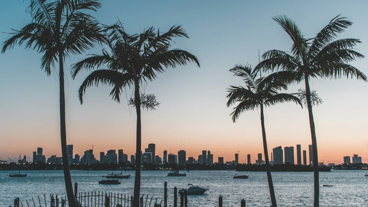 Florida waterfront skyline at sunset with palm trees silhouetted.