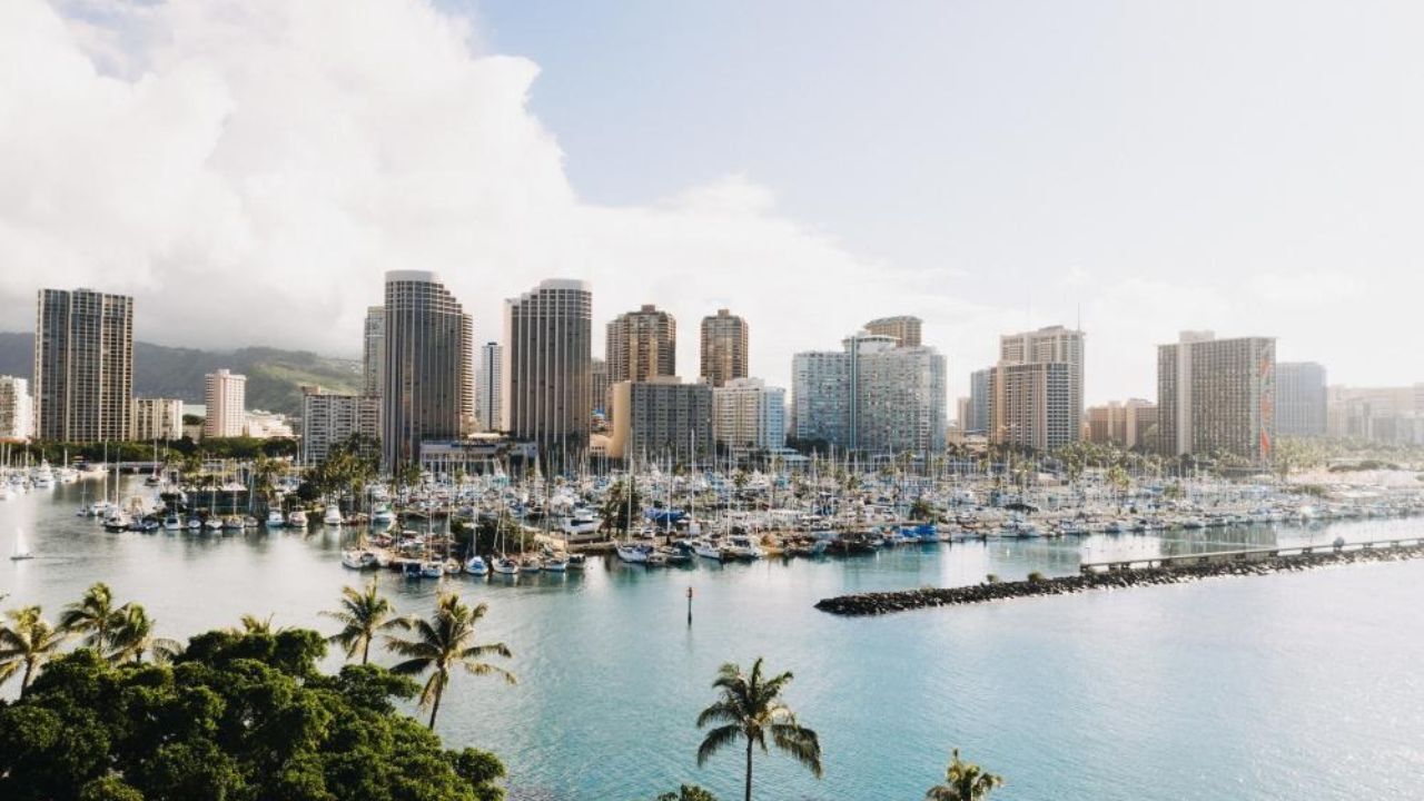 South Florida marina with yachts, palm trees, and skyline. 