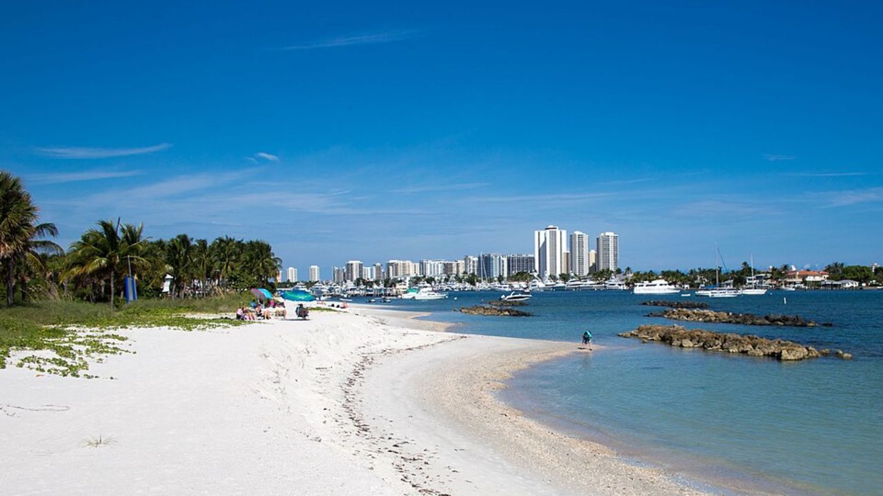 peanut-island-snorkeling-palm-beach